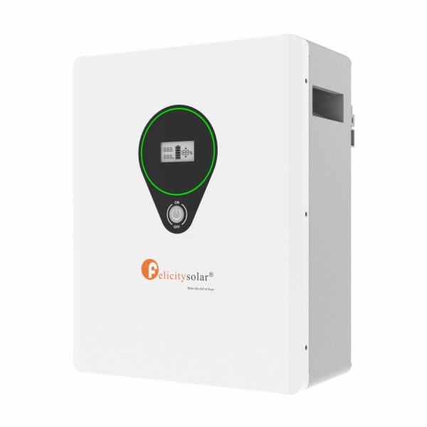 Batería de Litio Felicity Solar LPBF24100-M 2,5kwh 24V 100Ah - Imagen 2