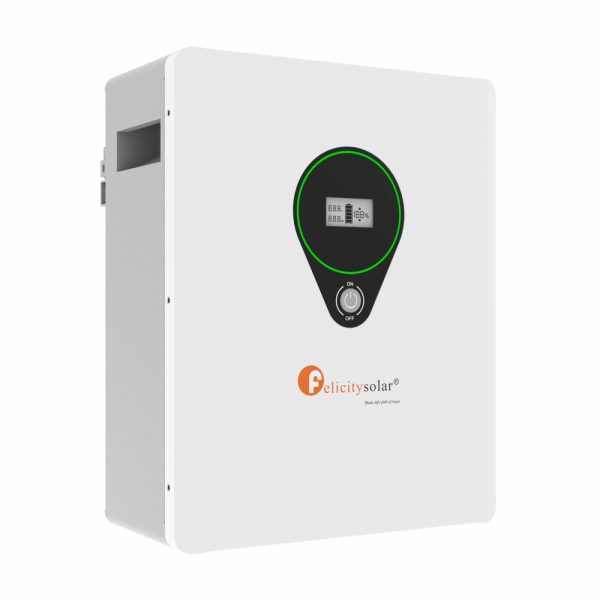 Batería de Litio Felicity Solar LPBF24100-M 2,5kwh 24V 100Ah - Imagen 3
